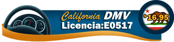 Escuela de Trfico de Turbo DMV License